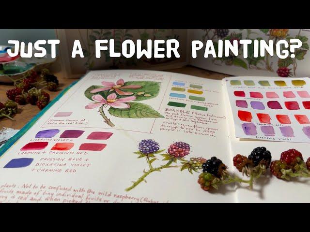 Revisiting botanical illustration for beginners: Bramble, blackberry, flowers