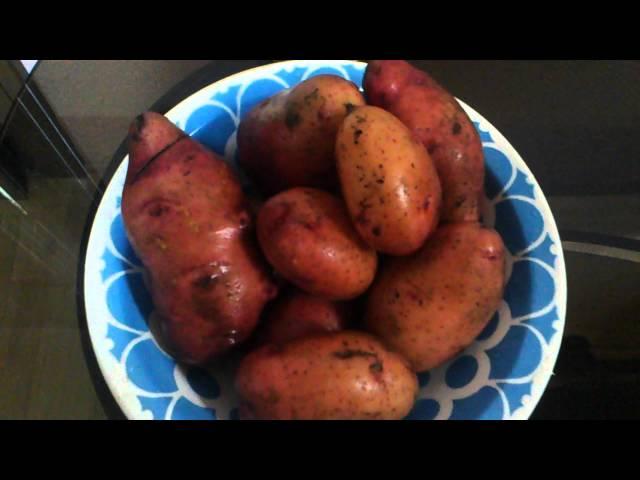 Вкусная Картошка