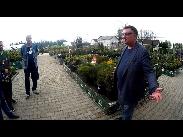Андрей Туманов о том, как выбрать яблоню в сад, а невесту в семью