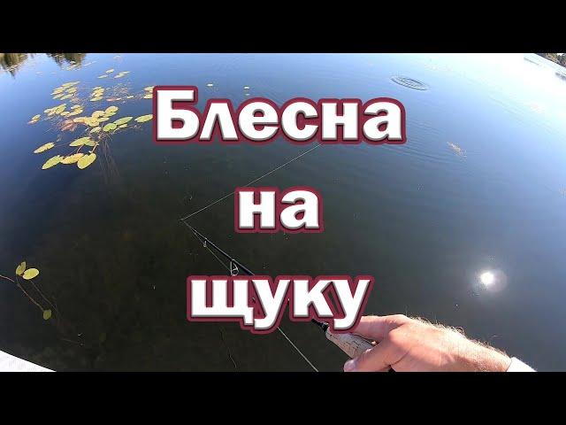 Колебалка на щуку.  Ловля щуки на блесну ! Рыбалка на спиннинг.