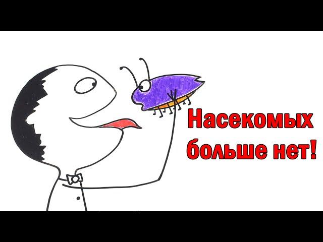 Что будет, если исчезнут все насекомые?