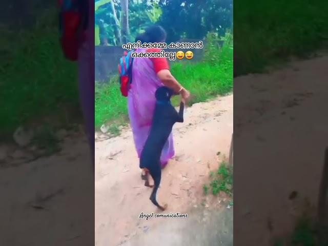 എനിക്കമ്മേ കാണാൻ ഒക്കത്തില്ലേ