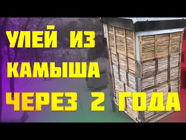 Улей из камыша через 2 года, Улья из фанеры и алюминия. Каркасный улей