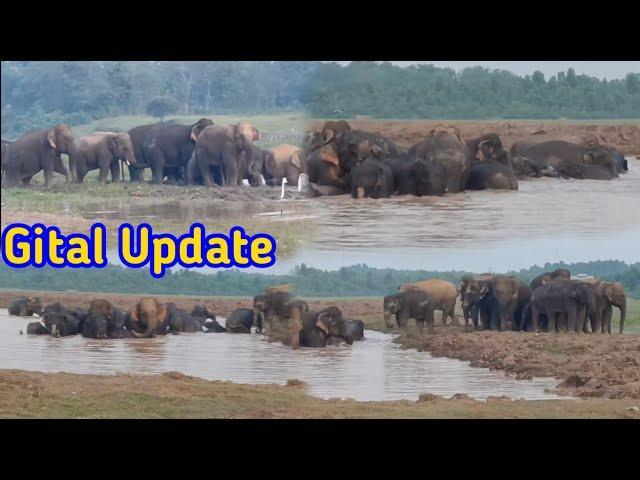 Gital Update || Garo News|| Mongma Bathan