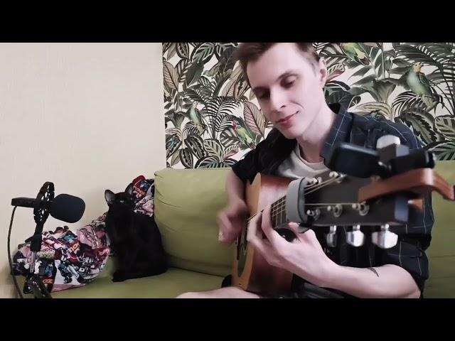 Кот поет блюз #поющийкот #котпоетпесню #catsoftiktok #the cat sings the blues #shorts #short