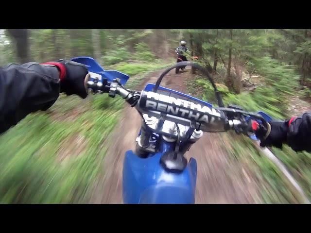 TESTING the BIG BAD YAMAHA TTR 250