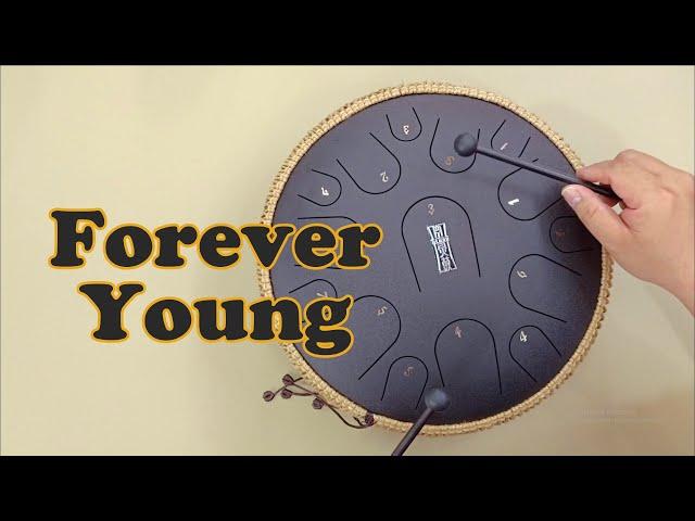 Forever Young (Alphaville) - Steel Tongue drum cover with tabs