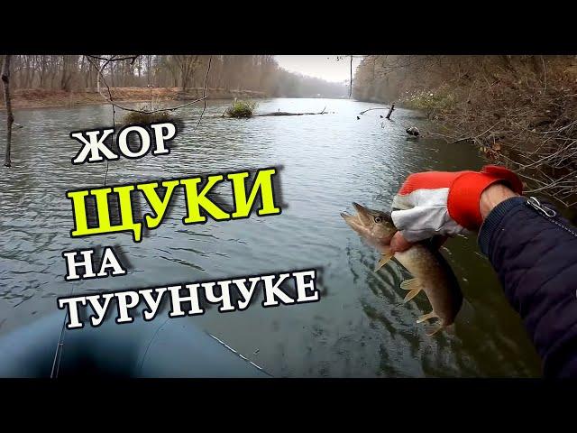 ЖОР ЩУКИ НА ТУРУНЧУКЕ & НА ЧТО КЛЮЕТ ЩУКА НА ТУРУНЧУКЕ & ЛОВЛЯ ЩУКИ НА ТУРУНЧУКЕ