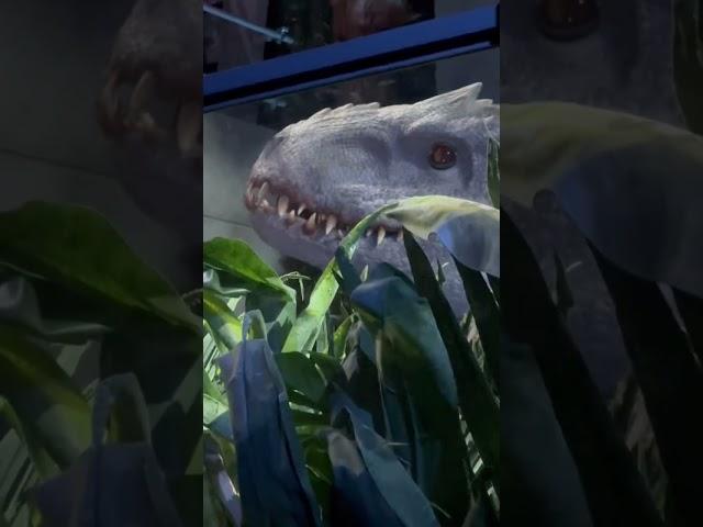 Indominus Rex Feeding in Jurassic World  #shorts