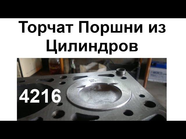 Торчат Поршни из Блока 4216 Газель Соболь