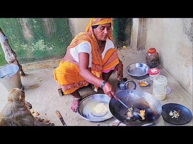 Monkey Rani All Activity।। Monkey Rani All Vidio ।। Monkey Rani Ameging video।।