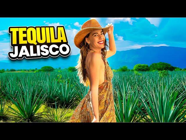 TEQUILA  JALISCO: ¡El Origen de la Bebida que CONQUISTÓ el MUNDO! 