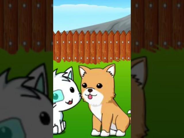 Woof woof woof meow meow meow