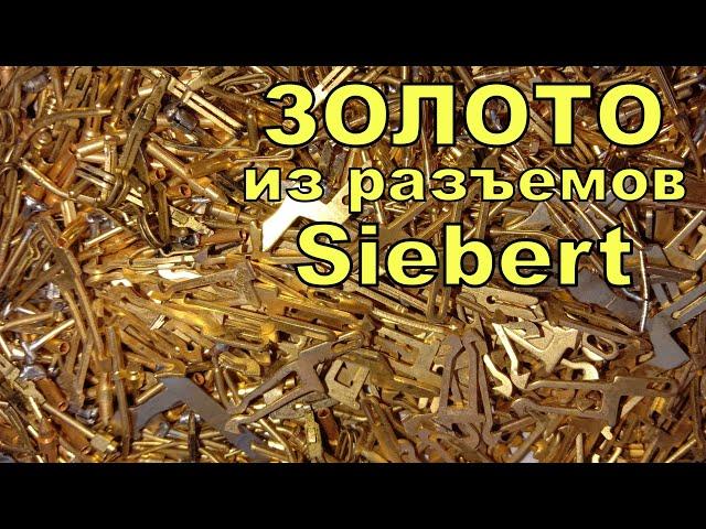 Это ЗАРАБОТОК НА ХЛАМЕ! ЗОЛОТО из РАЗЪЕМОВ Siebert