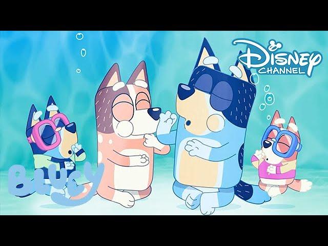 Bluey | De leukste uitjes!  | Disney Channel NL