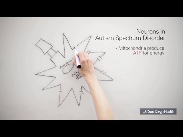 Autism Spectrum Disorder: The Cell Danger Response