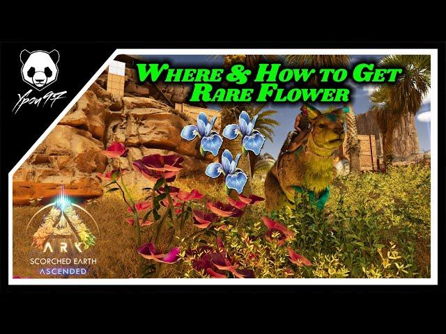 Where And How To Get Rare Flowers In Scorched Earth | ARK: Survival Ascended