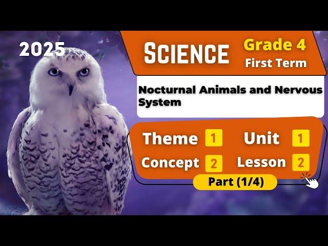 Nocturnal Animals and Nervous System | G4 | Unit 1 - Concept 2 - Lesson 2 - Part (1/4) | Science