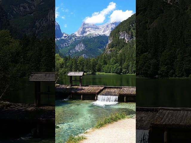 Places in Austria that don’t feel real  #schiederweiher #exploreaustria #travel