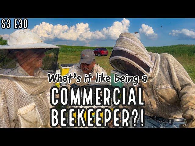 What It's Like Being A COMMERCIAL BEEKEEPER / queen excluders, rotating frames, queens #beekeeping