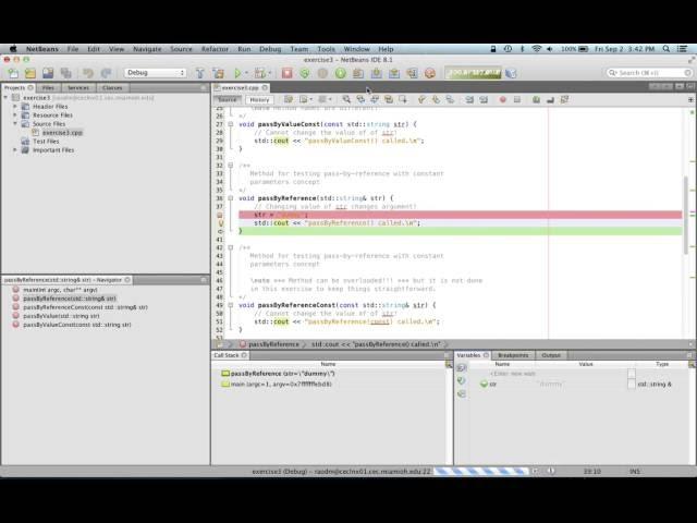 Using NetBeans Debugger to debug a C++ program