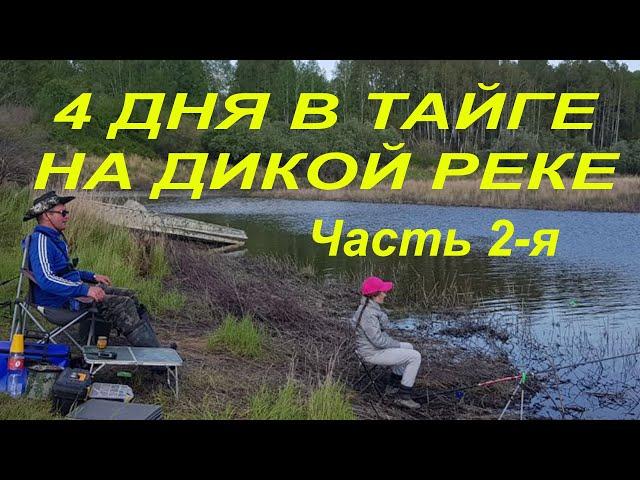 Семейный кемпинг в тайге на Дальнем Востоке.2 часть.Рыбалка, шашлыки, палатки,зимовье.Поход на 4 дня