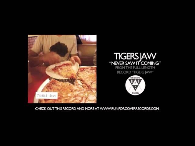 Tigers Jaw - Never Saw It Coming (Official Audio)