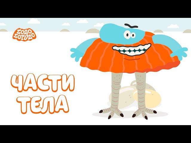 Части тела - Бодо Бородо | ПРЕМЬЕРА | мультфильмы для детей 0+