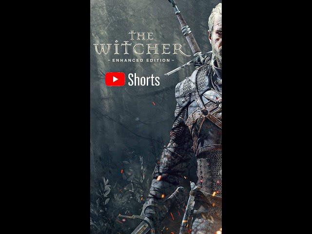 Золтан Такой Золтан   Ведьмак Witcher