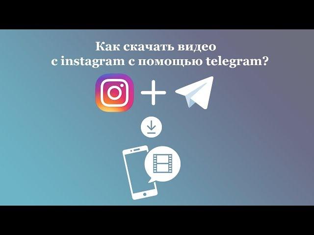 Как скачать видео с instagram на айфон с помощью телеграм бота