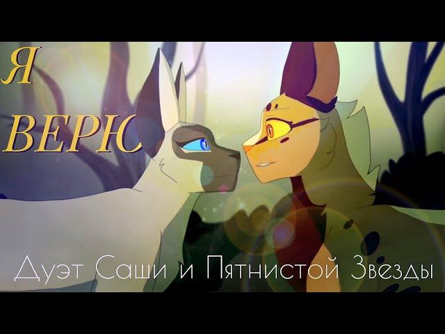 Я Верю| Дуэт Саши и Пятнистой Звезды (Кв)| описание