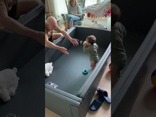 미국인 장인장모님이 손자가 걷는 모습 직접 보셨을 때 반응 When grandparent saw their grandson walking in person in Korea