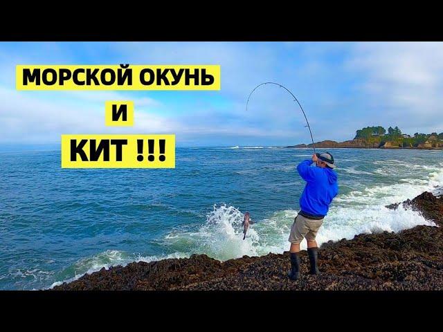 РЫБАЛКА НА МОРСКОГО ОКУНЯ И КИТ !! САМЫЙ БОЛЬШОЙ ДЕРЕВЯННЫЙ САМОЛЁТ В МИРЕ. ТИХИЙ ОКЕАН. США