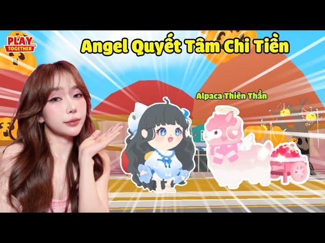 Angel Cay Cú Quyết Tâm Mở Ra Alpaca Thiên Thần | Play Together