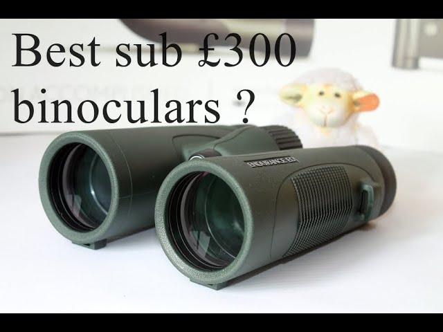 Mastering Birdwatching with Hawke Endurance ED 8x42: Unbeatable sub £300 Binoculars