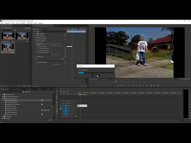 Trecking and Blur Face in Adobe Premiere Pro CC. Tutorial