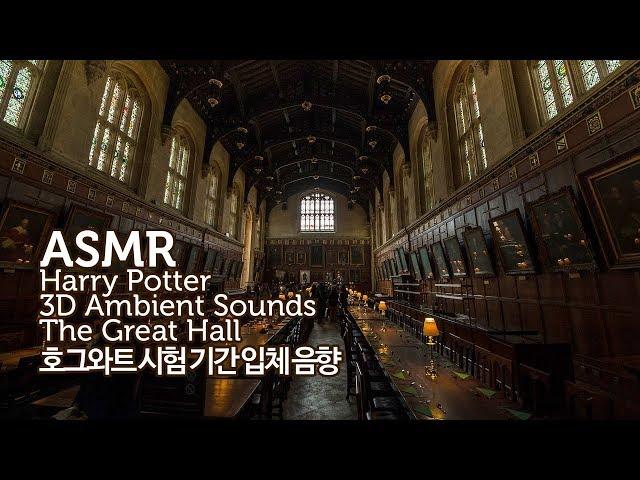 ASMR Harry Potter●O.W.L.Exam Period of Hogwarts The Great Hall 3D Ambient Sounds | Study Aid