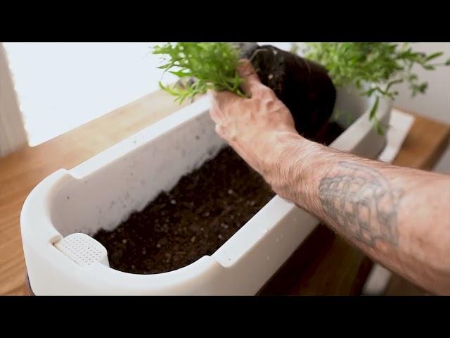 Herbstation | The Most Versatile Indoor Farm