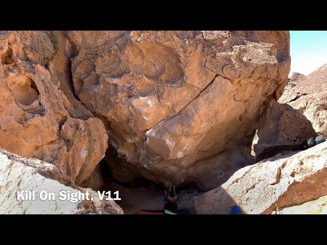 Bishop「Kill On Sight」V11