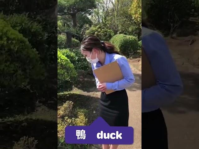 【Learn Japanese in 30s #316】～Walking around TLS #行船公園～”duck/鴨” #Gyosenpark