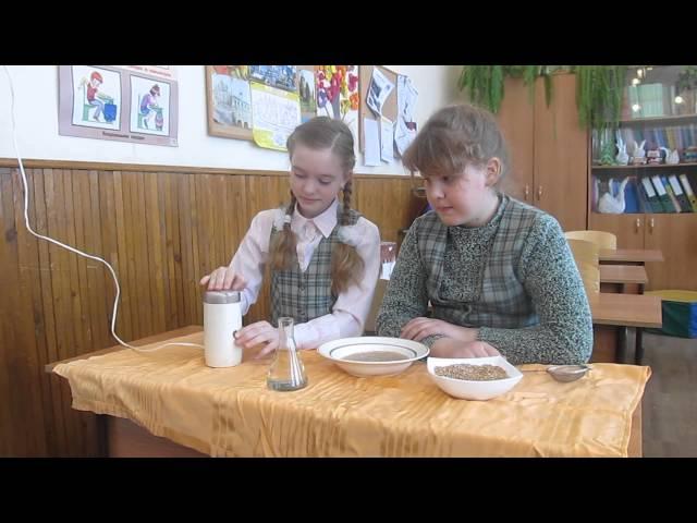 Изготовление крахмала в домашних условиях