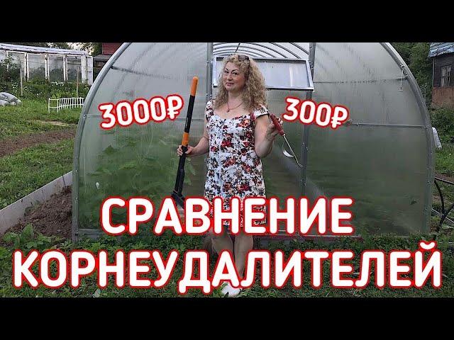 СРАВНИВАЮ КОРНЕУДАЛИТЕЛЬ FISKARS ЗА 3000₽ И ДЕШЁВЫЙ КОРНЕУДАЛИТЕЛЬ ЗА 300₽ | СТОИТ ЛИ ПЕРЕПЛАЧИВАТЬ?