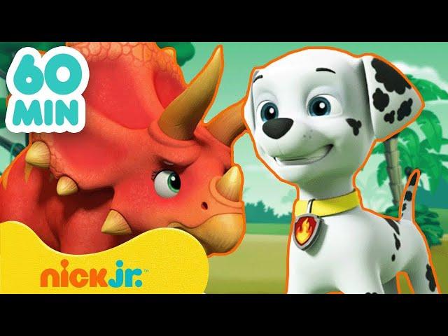 Щенячий патруль | 60 МИН. новых серий "Щенячьего патруля"! | Nick Jr. Cyrillic