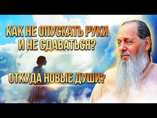 Как не опускать руки и не сдаваться? Откуда новые души?