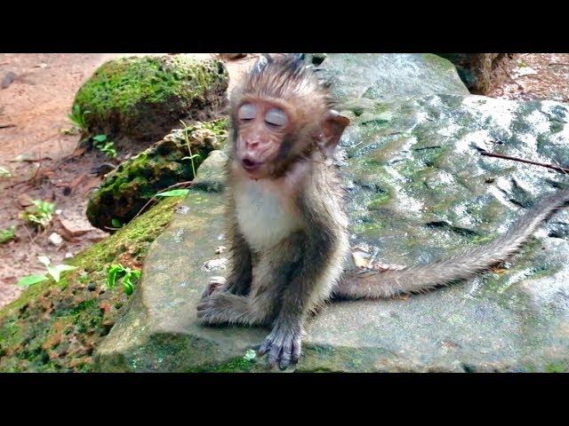 OMG! Pity Baby Donny Crying So Said Find Mom Because Shaking Cool After Big Rain.