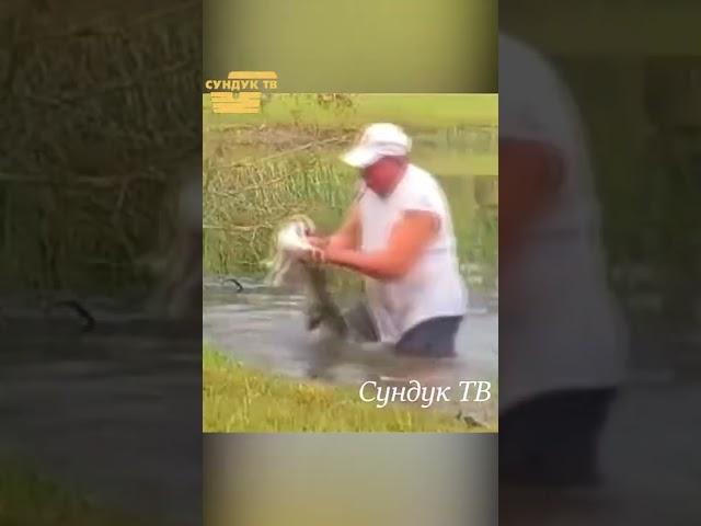 Дед спас пса от крокодила