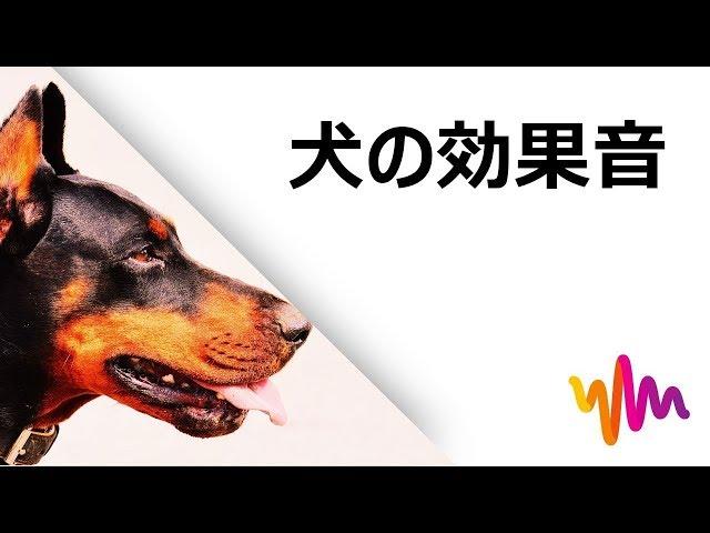 犬が鳴く音 HD｜犬のフリー効果音素材(効果音数：27)