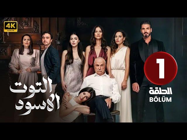 الحلقة 1 | مسلسل التركي | التوت الأسود | مدبلج عربي ( Arabic Dubbed ) #مسلسلات_تركية