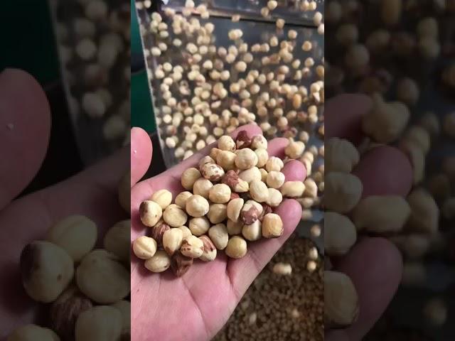 Air peeling machine for hazelnut peeling