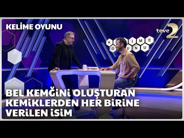 Bel kemiğini oluşturan kemiklerden her birine verilen isim | Kelime Oyunu